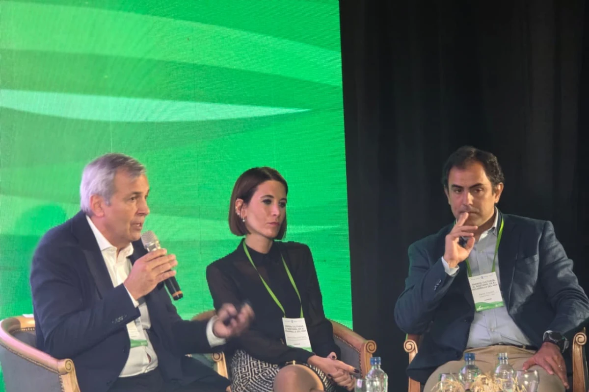 El momento en el que Oscar Rojo hablaba en el panel. FOTO GENTILEZA DE ABEL YAMUS