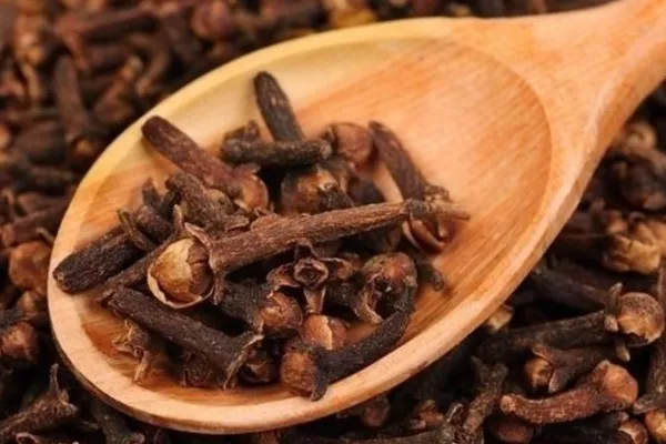 Te de clavo de olor y orégano: ¿el remedio casero definitivo para la tos, los mocos y el dolor de garganta?