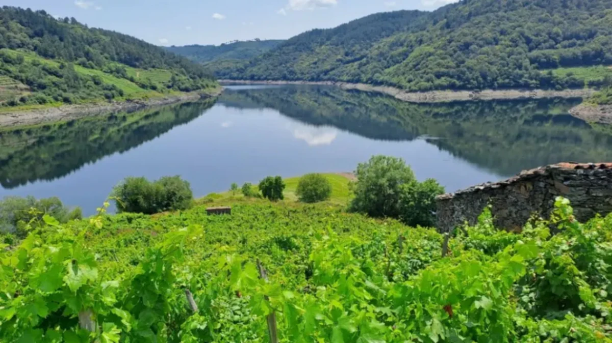 Senderismo en Galicia: la ruta veraniega que conquista en plena Ribeira Sacra
