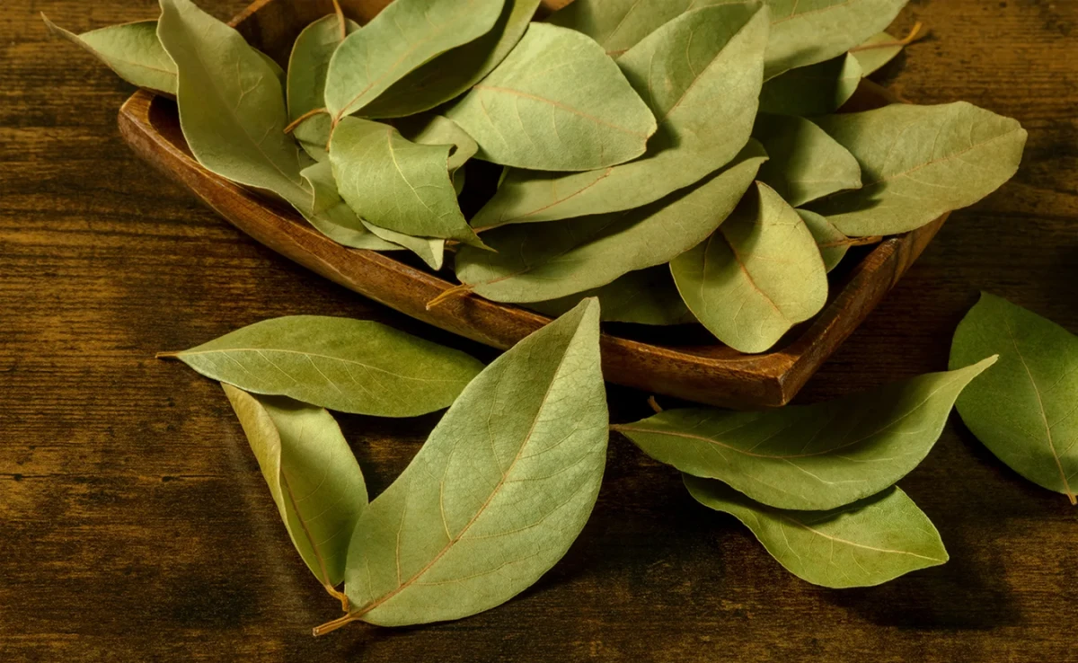 Poné laurel en el baño y mirá lo que pasa: cuatro formas simples y poderosas