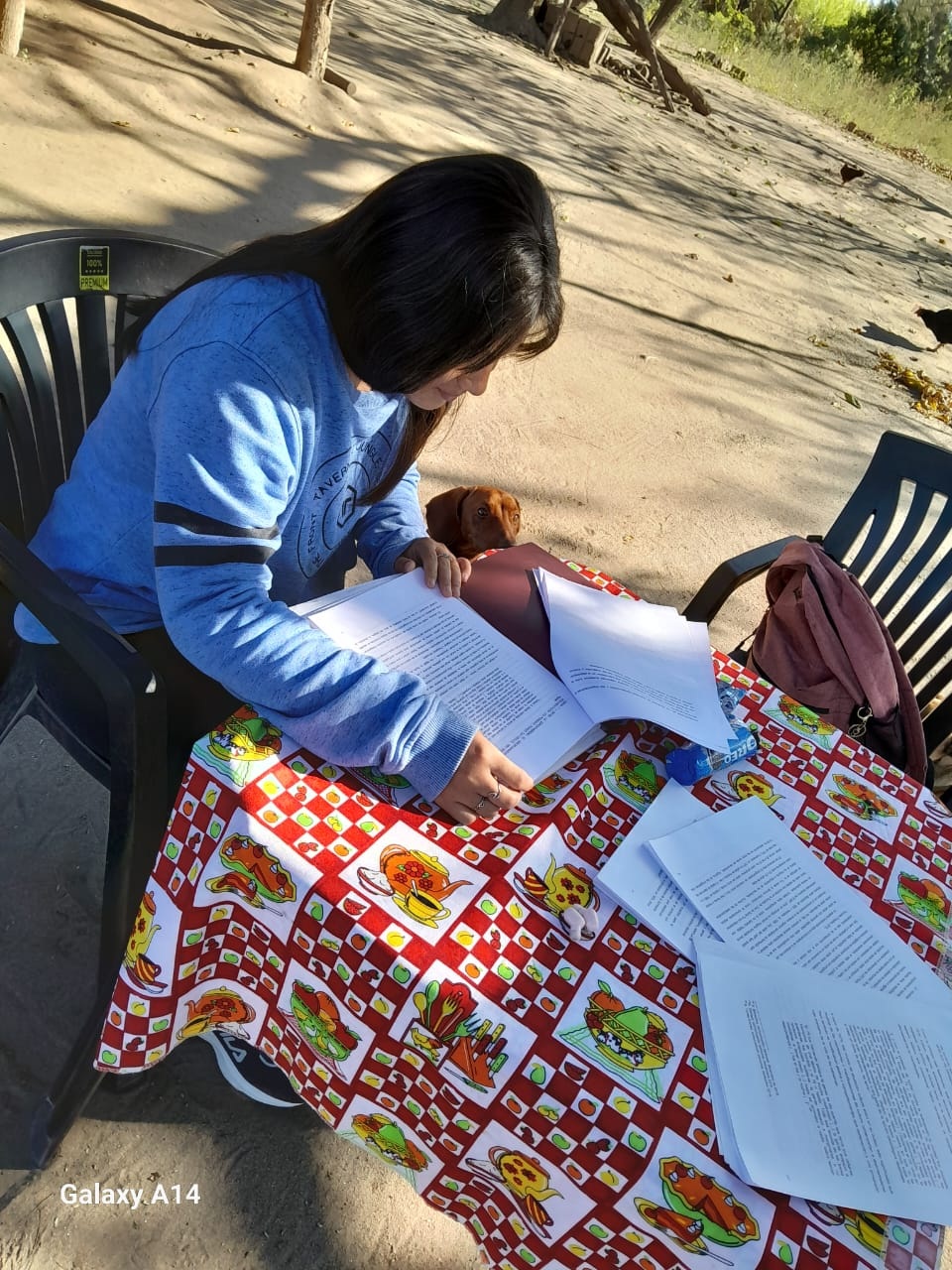 Con casi 200 escuelas inscriptas, comienza el concurso “Enseñame, Tucumán”