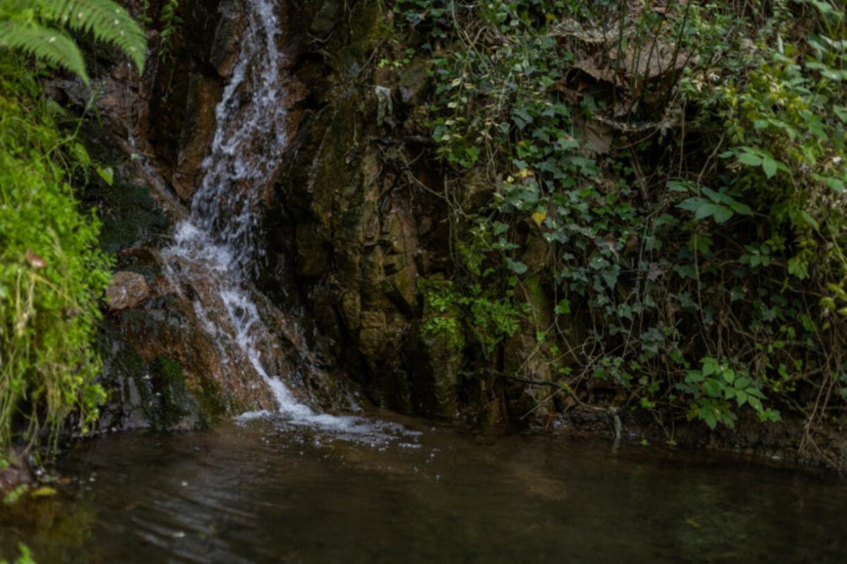 Arbúcies, el secreto mejor guardado de Cataluña: jardines de ensueño y rutas inolvidables en el corazón del Montseny