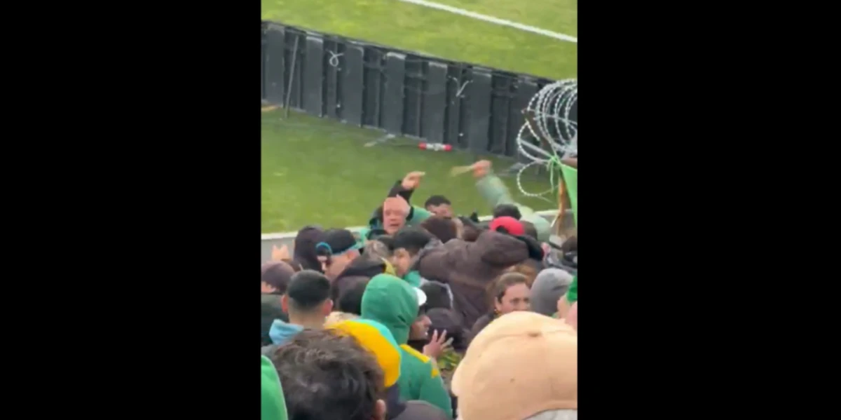 Locura en la tribuna de Aldosivi: pelea entre barras dejó tres heridos durante el partido ante Newell’s