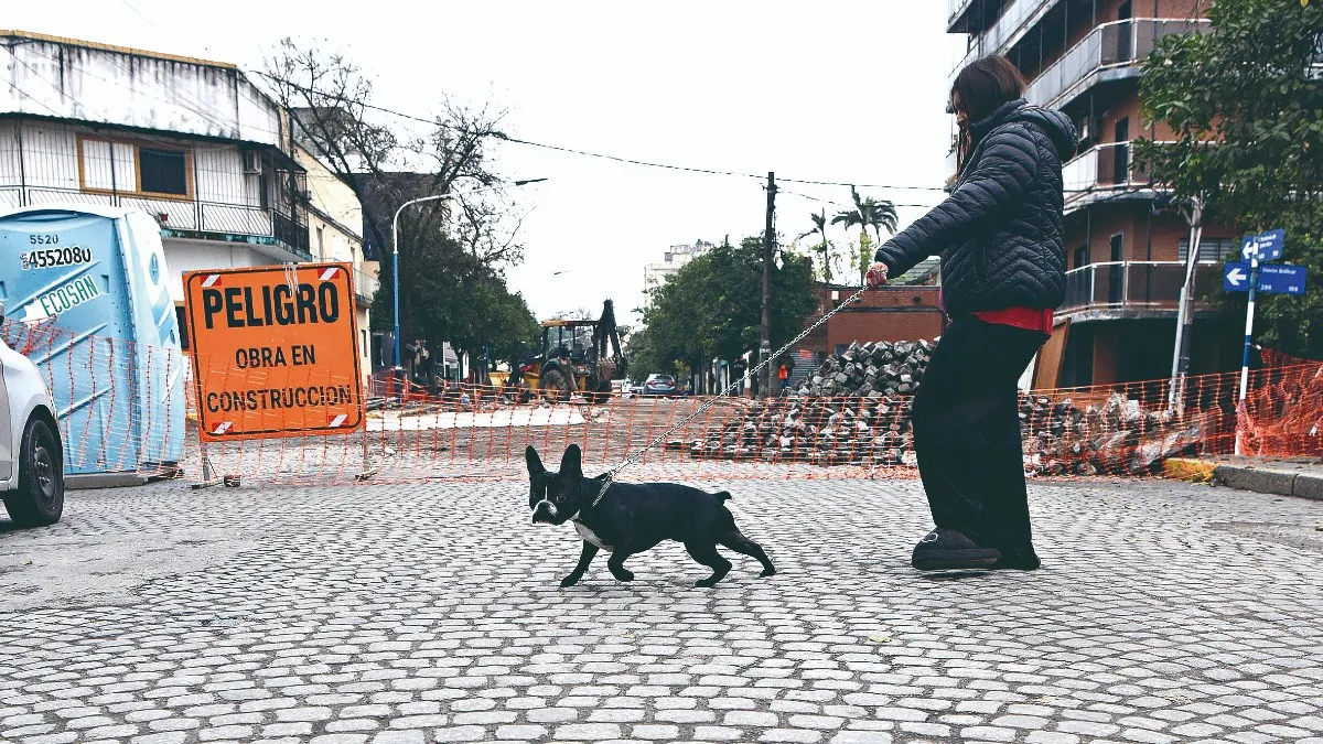 La foto de la semana