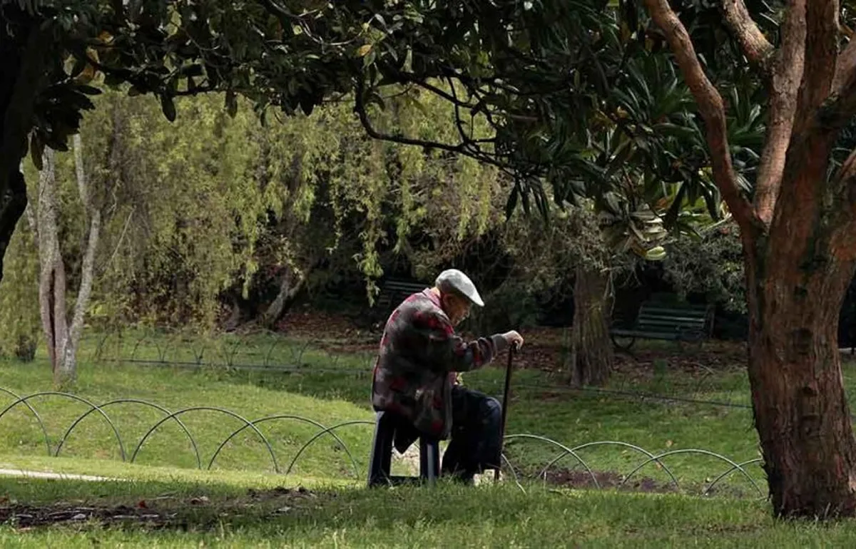 Día de los abuelos: por qué evitar aislar a los adultos mayores es tan importante