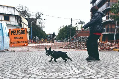 La foto de la semana