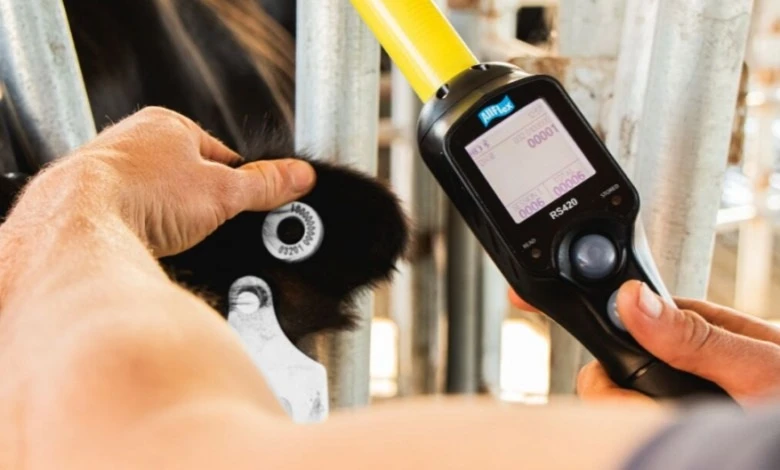 DESDE 2026. Productores ganaderos deberán identificar a todos los terneros.