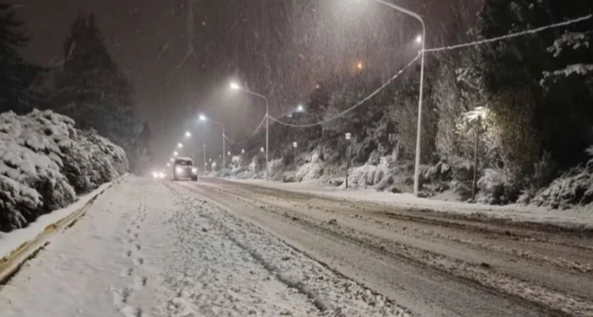 Se perdió en la nieve en Río Negro y sus perros le salvaron la vida