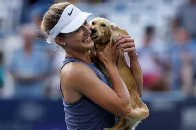 “Es mi bebé”: la tierna irrupción de la perra de una tenista en pleno partido del circuito WTA