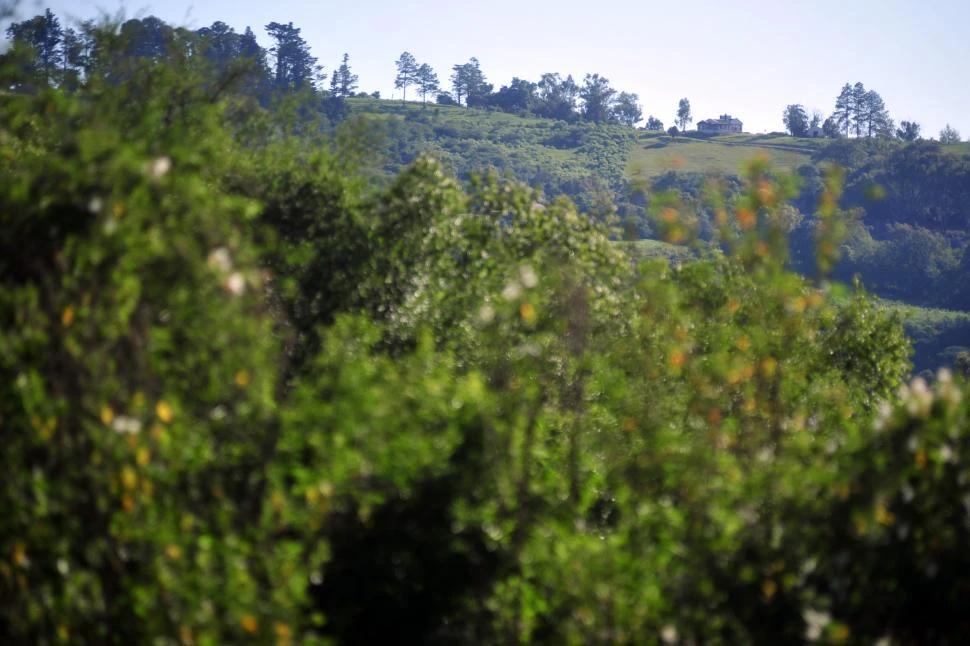 ZONA A RESGUARDAR. La legislación vigente en materia ambiental limita lo que se puede hacer en el cerro.