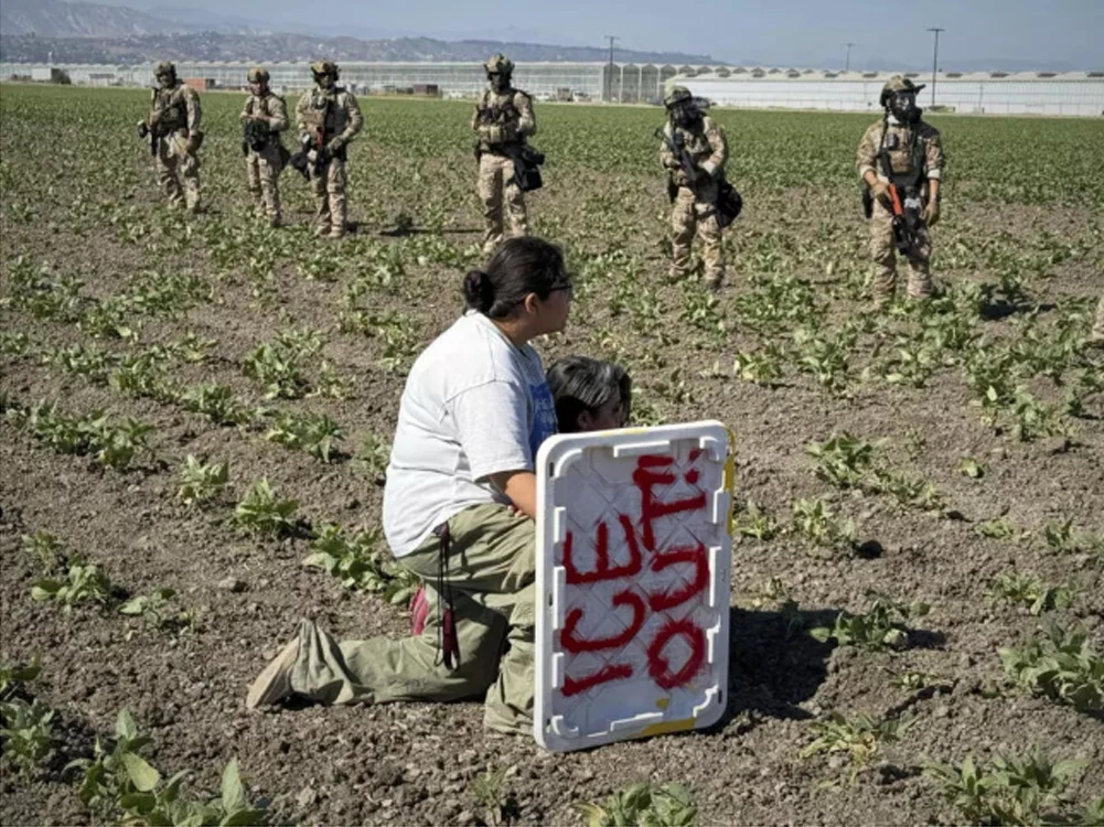 COTIDIANO. La situación en el campo de California se está complicando a diario.