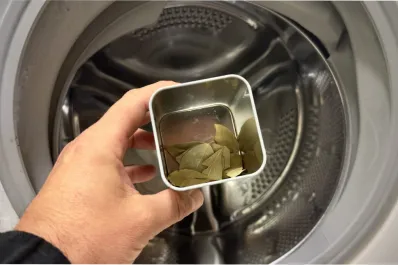 Tu lavarropas te lo agradecerá: por qué deberías colocar una hoja de laurel en el próximo lavado