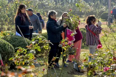 El Rosedal para los tucumanos: vecinos podrán retirar esquejes gratis para plantar