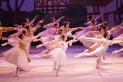 ¿Soñás con bailar en el escenario? El Ballet Estable de Tucumán te está buscando