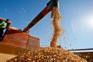 Baja de retenciones: el impacto en el NOA sigue siendo limitado