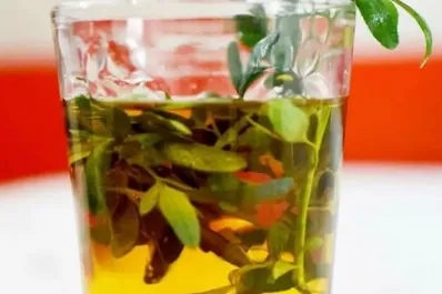 Té de ruda: cómo se prepara y otros rituales del Día de la Pachamama