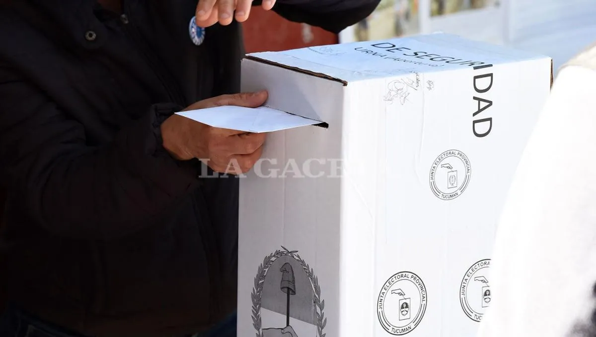 Elecciones 2025: buscan impugnar las candidaturas testimoniales en la provincia de Buenos Aires