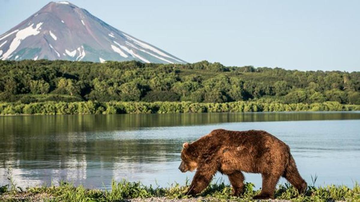 Dónde queda y cómo es Kamchatka, el epicentro del terremoto de Rusia