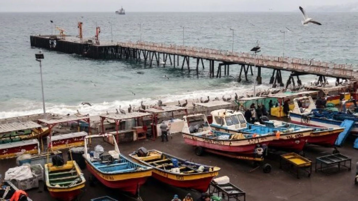 De alerta a precaución: Senapred rebaja nivel de riesgo por tsunami en Chile, salvo en una región