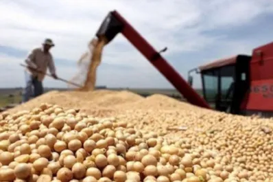 El Gobierno nacional oficializó la baja de retenciones para granos y carnes