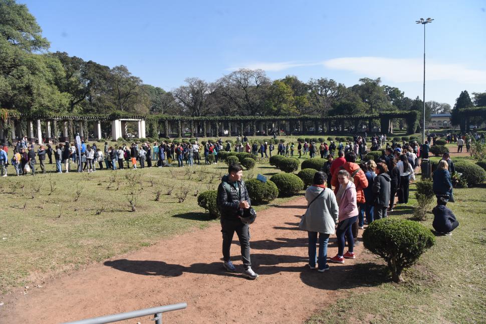 Del parque 9 de Julio a casa: regalaron gajos de rosas en El Rosedal