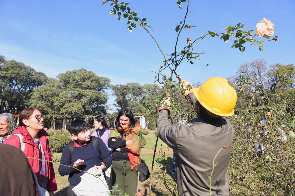 Del parque 9 de Julio a casa: regalaron gajos de rosas en El Rosedal