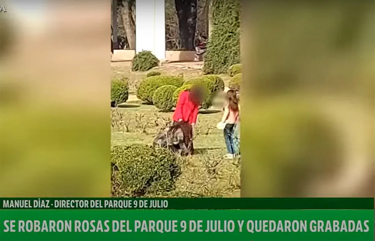 Dos personas robaron rosas en el parque 9 de Julio