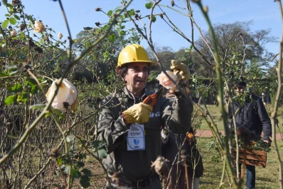 Del parque 9 de Julio a casa: regalaron gajos de rosas en El Rosedal