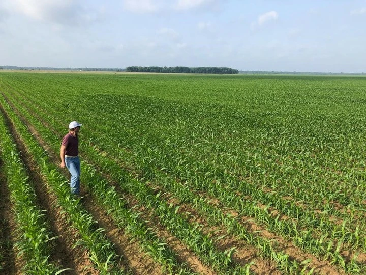 Ciencia y campo: el aporte del ingeniero agrónomo