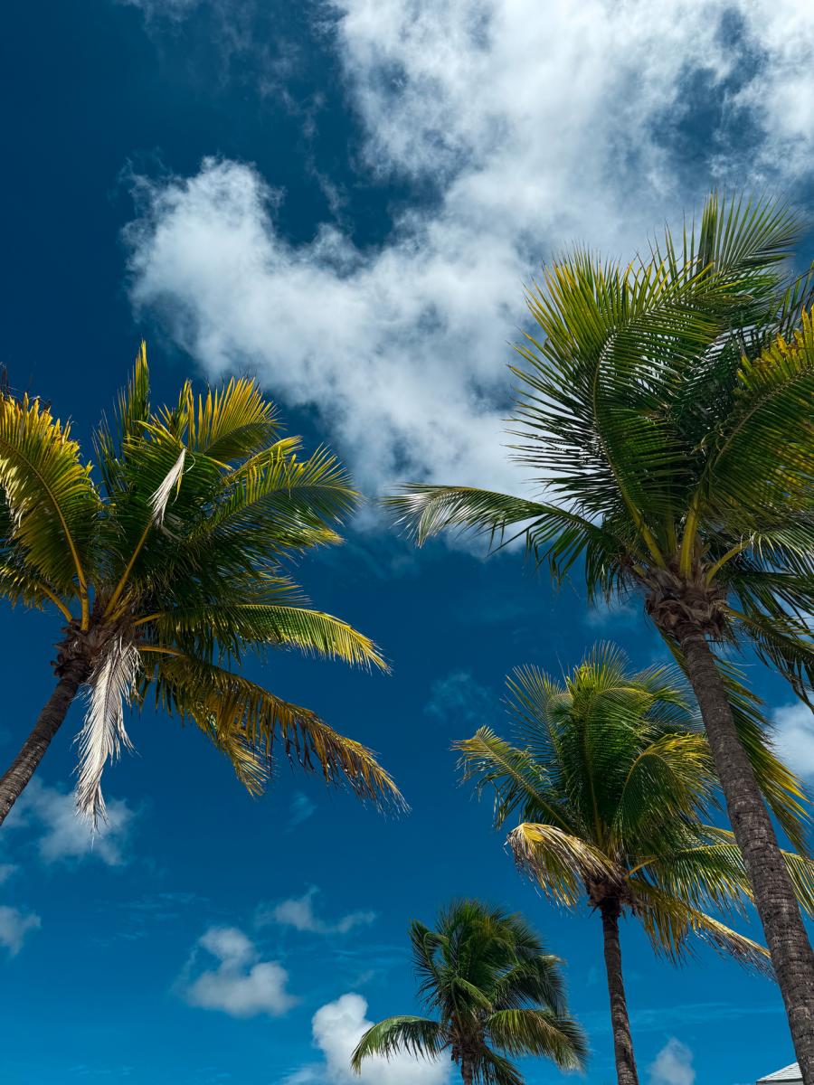 Guía de viaje: San Salvador de Bahamas, la isla donde desembarcó Colón
