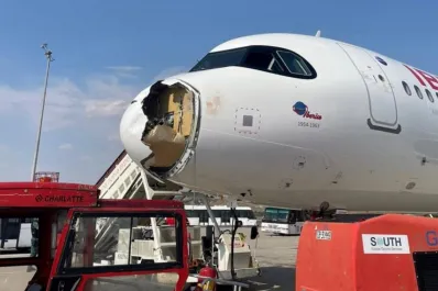 Un avión chocó con un buitre en pleno vuelo, sufrió graves daños y debió aterrizar de emergencia en Madrid