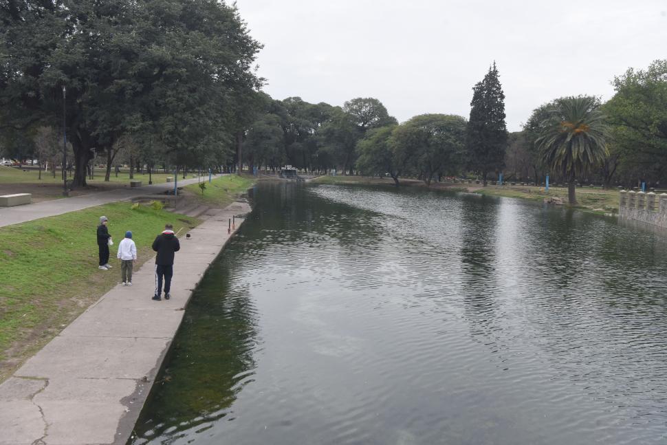REGULADOR. Este espacio oxigena el ambiente y regula la temperatura.