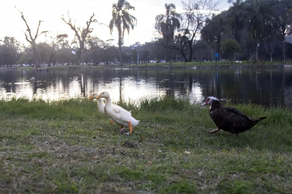 ENTORNO VITAL. Las expertas insistieron en que la conciencia colectiva es fundamental para preservar el lugar. LA GACETA / FOTOS DE MATÍAS VIEITO - ANALÍA JARAMILLO