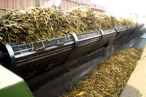 El azúcar y el complejo citrícola se destacaron en el crecimiento de las exportaciones agroindustriales del país