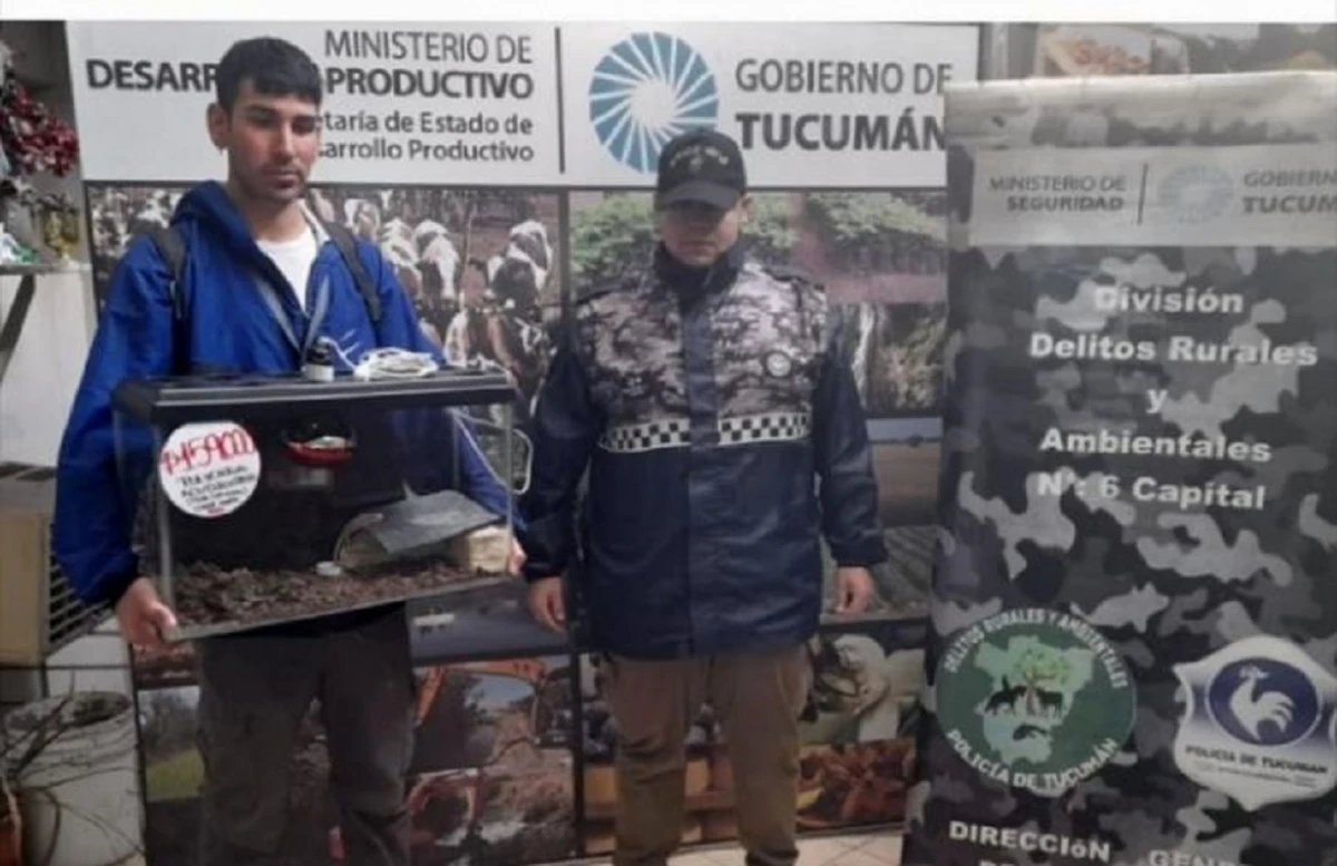 COMUNICACIÓN PÚBLICA