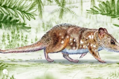 Impactante hallazgo: descubren un nuevo mamífero de la era de los dinosaurios en la Patagonia chilena