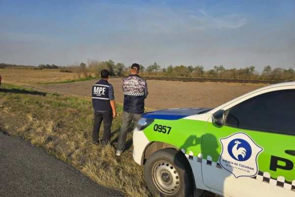 Hay tres detenidos por quema de vegetación: incendiaron cañaverales y pastizales