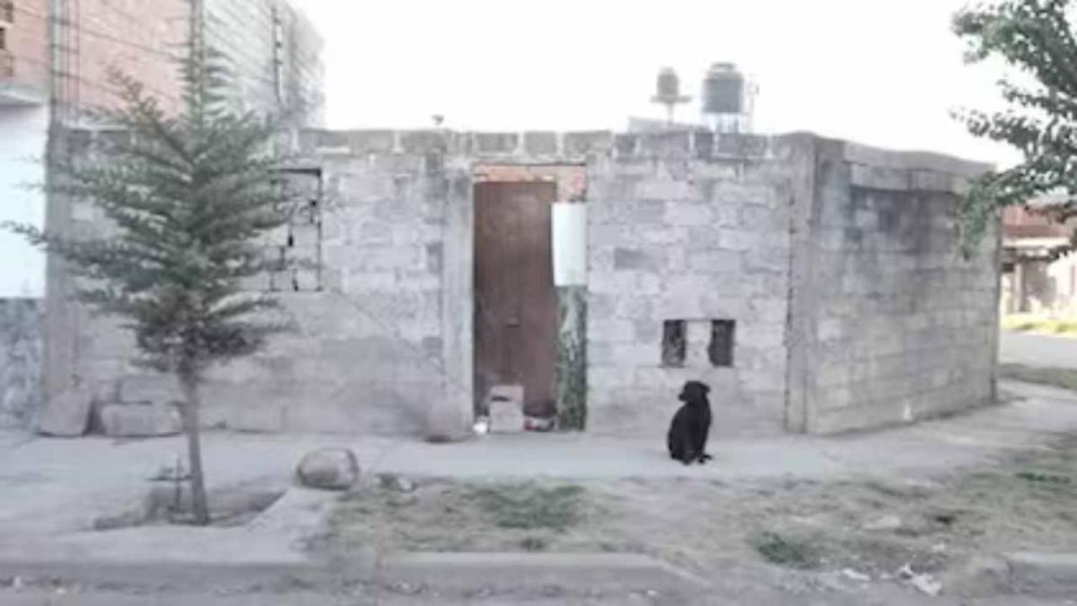 “Encontramos restos humanos en el plato de los perros”: escalofriantes revelaciones del fiscal sobre el caso Matías Jurado, el presunto asesino serial de Jujuy