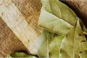 Feng Shui: el poderoso ritual de fin de semana con hojas de laurel para atraer la abundancia