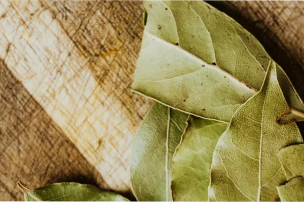 Feng Shui: el poderoso ritual de fin de semana con hojas de laurel para atraer la abundancia