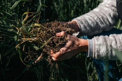“Hablar de sustentabilidad requiere más que un discurso: implica medirla con claridad”