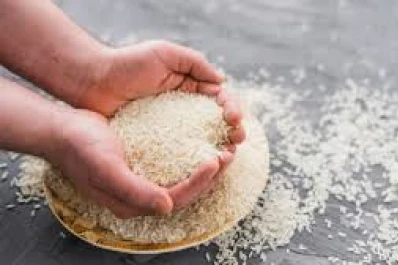 La exportación de productos agroindustriales creció un 4,5%