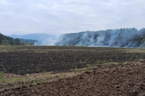 Preventiva por quemar un cañaveral en Monteros