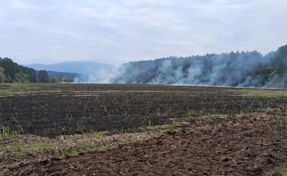 ISLA SAN JOSÉ. El predio está cerca del cruce de rutas 38 y 325.