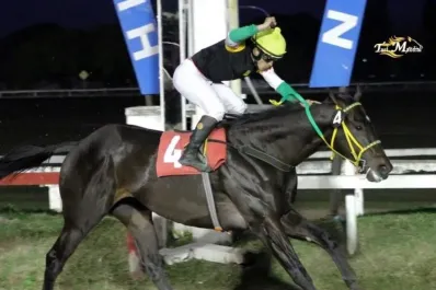 Turf: Standartd ganó y ya apunta al Gran Premio “Batalla de Tucumán”