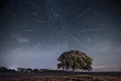 Lluvia de estrellas Perseidas en Chile: ¿cuándo y cómo ver hasta 100 meteoros por hora?