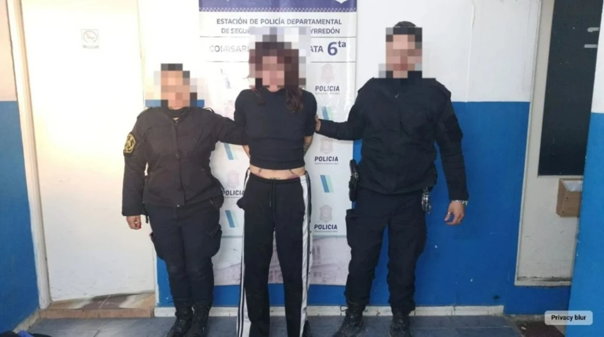 Mar del Plata: detienen a una mujer por apuñalar al perro de su vecina que había atacado a su caniche