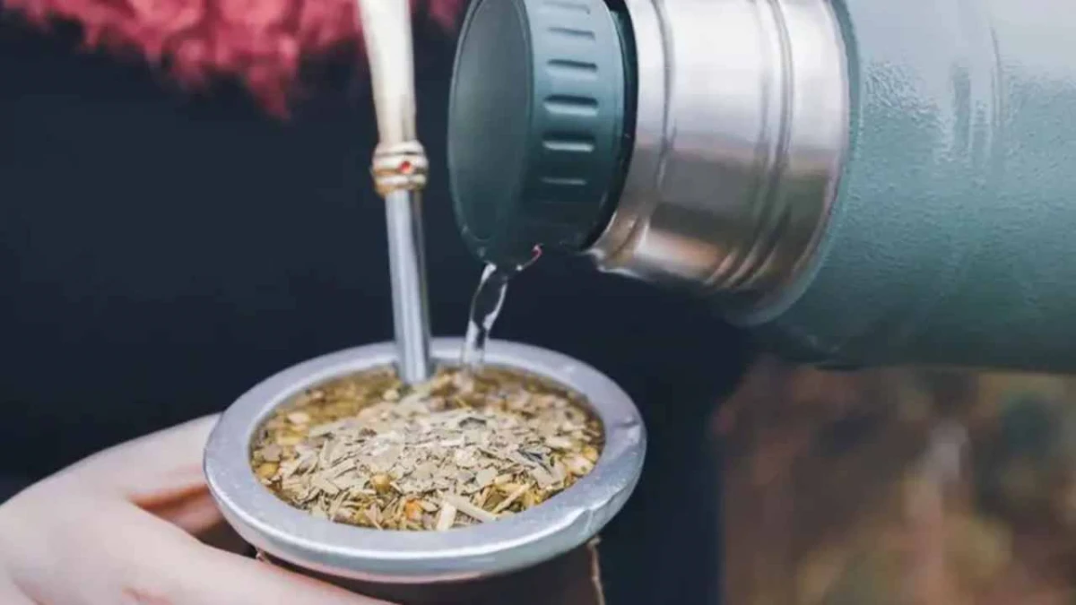 Descubrí por qué el mate con limón es ideal para desintoxicar el organismo