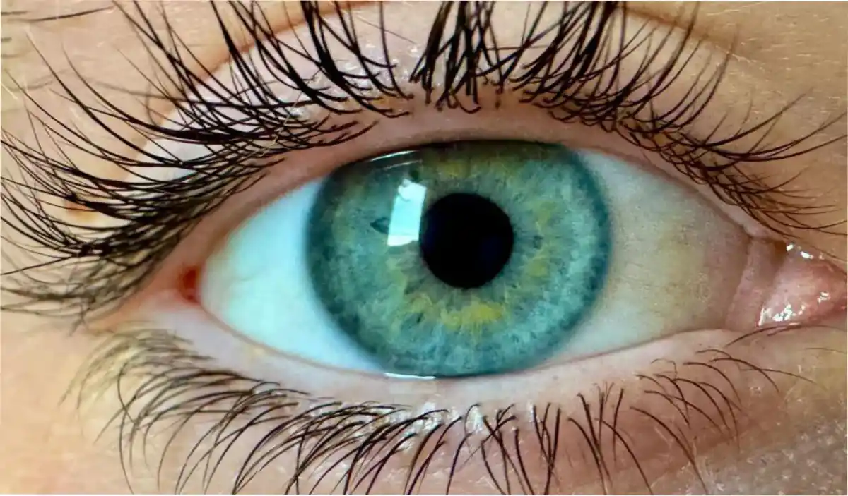 El color, que se dice que es un tono saturado de azul verdoso, no se puede ver a simple vista sin la ayuda de un estímulo.