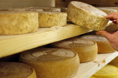 ¿Qué se debe revisar antes de comprar un queso artesanal?